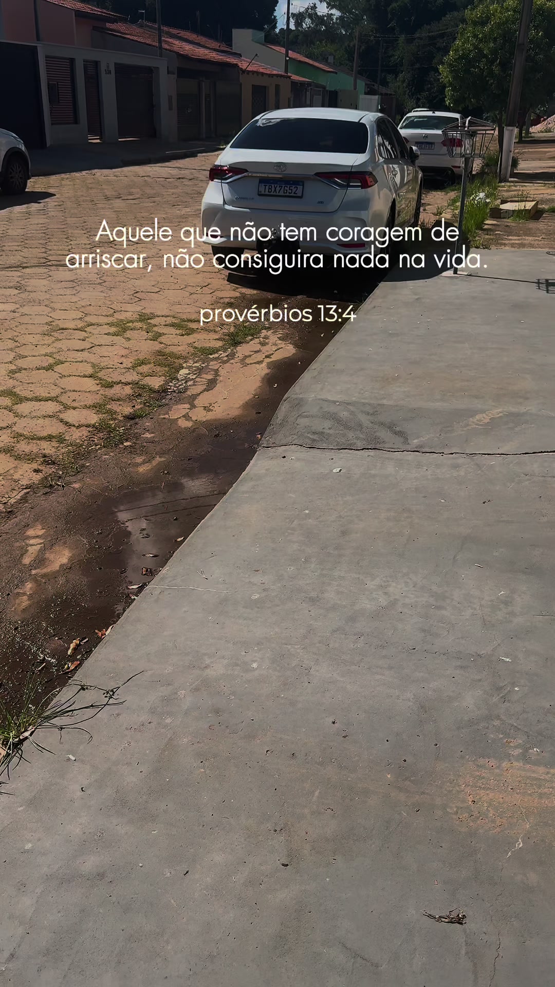 @Luis 🌾 🇧🇷  🐜