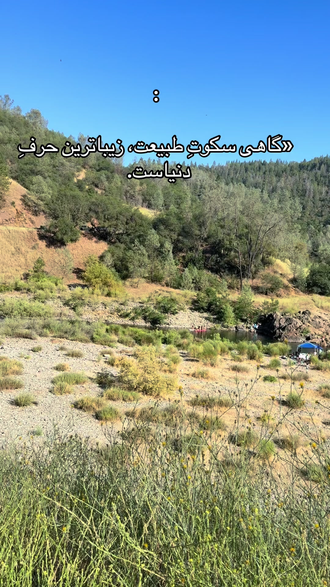 @shakiba Noori