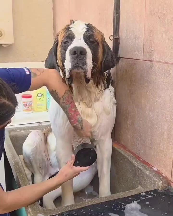 @Arica es Bacán