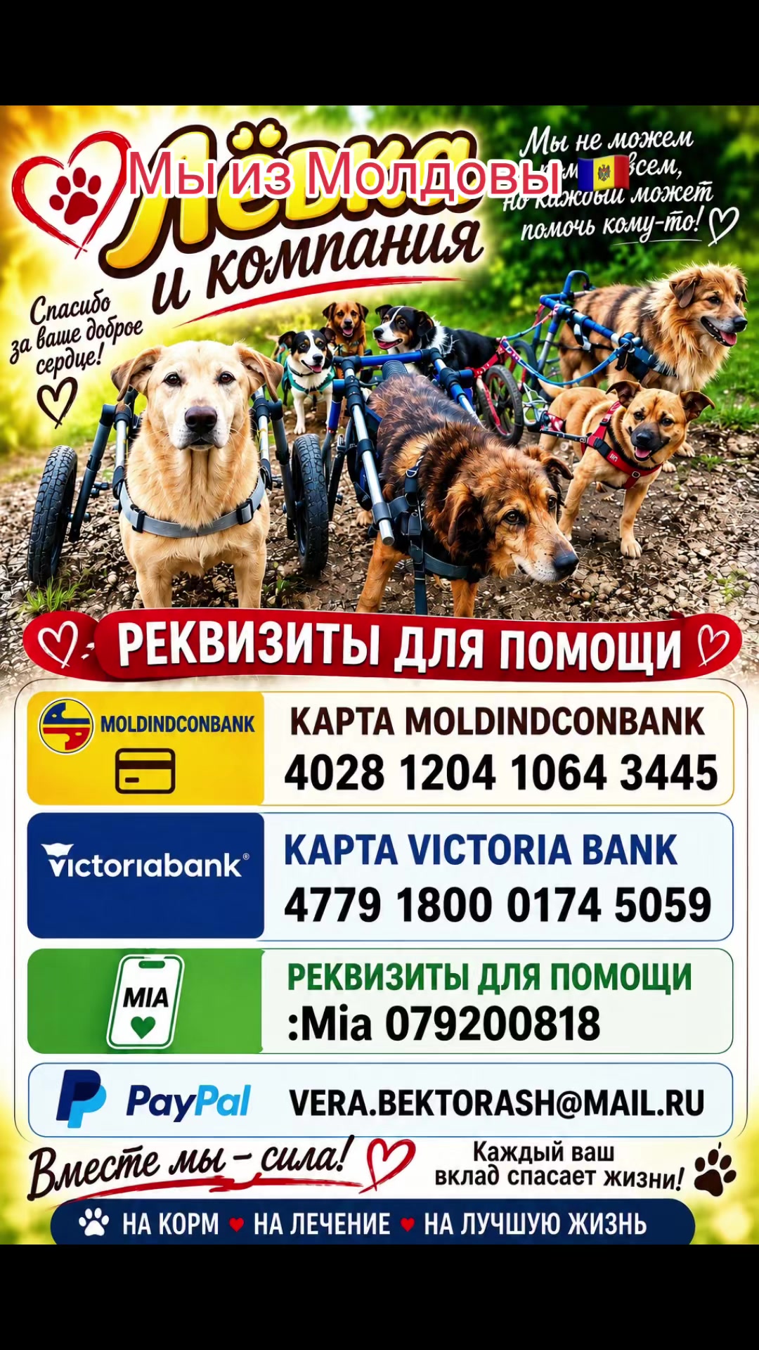 @Лёвка и компания.