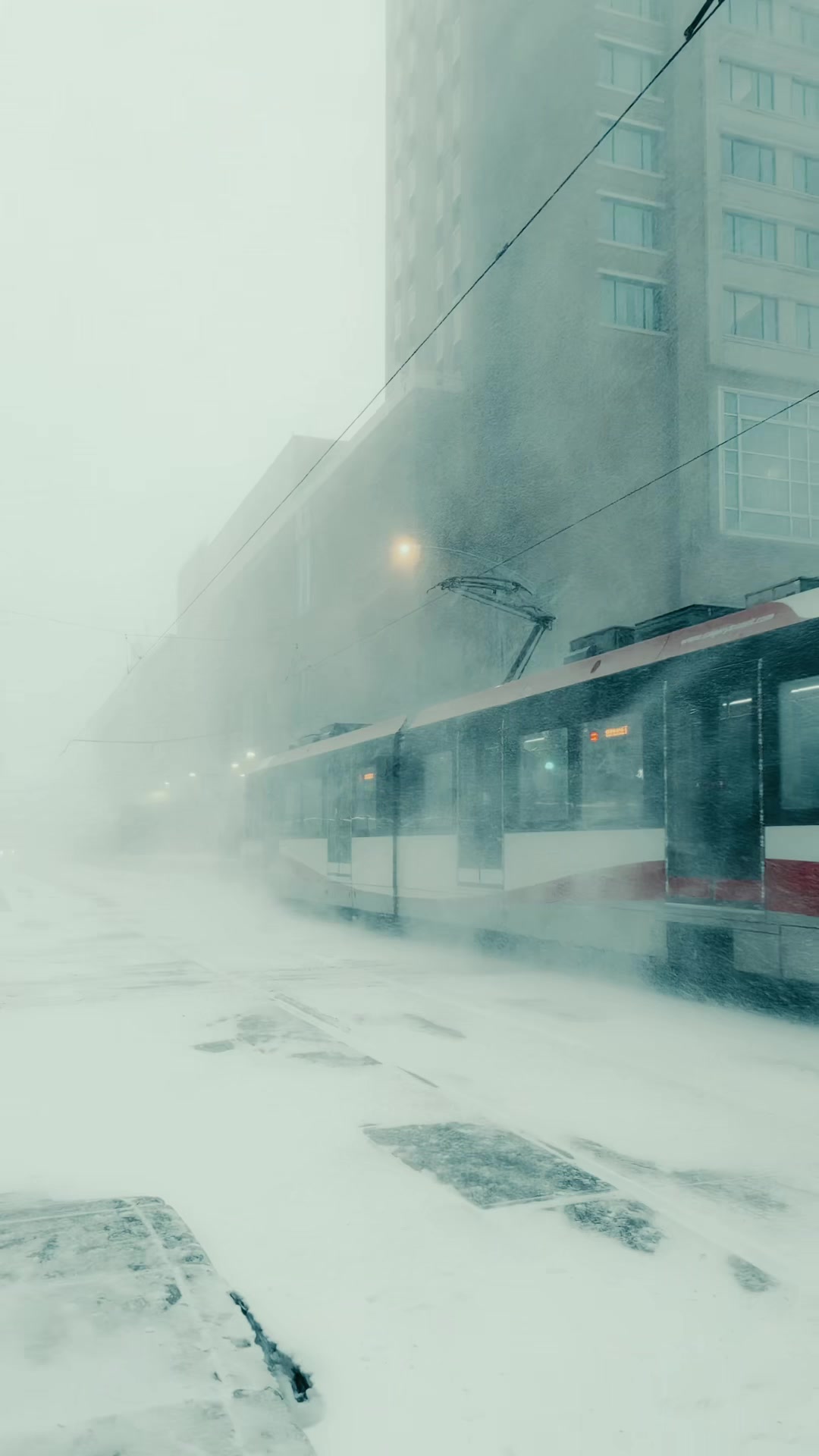 @yycstreetphotography