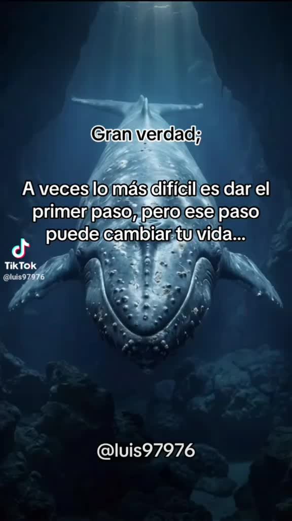 @Ever Bojorquez