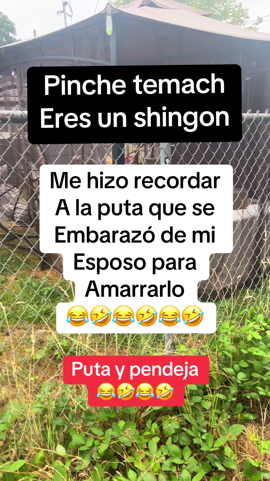 @lolischula