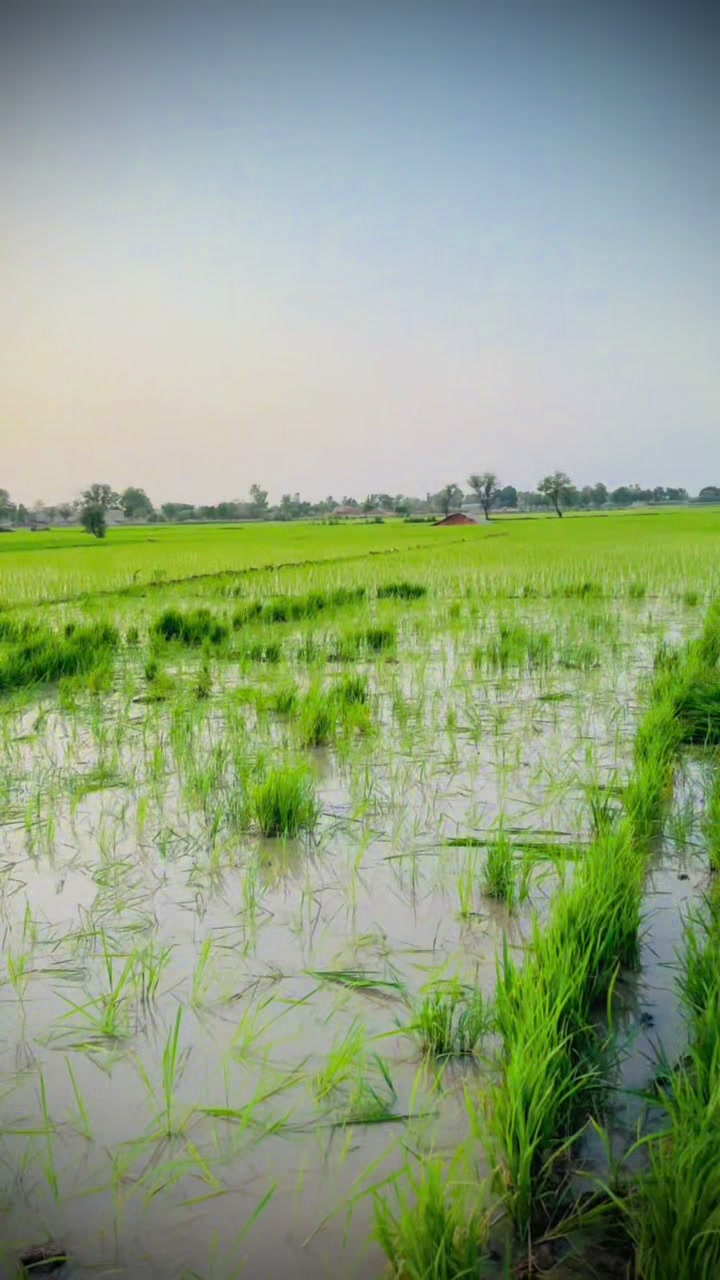@Khan Ali pitafi