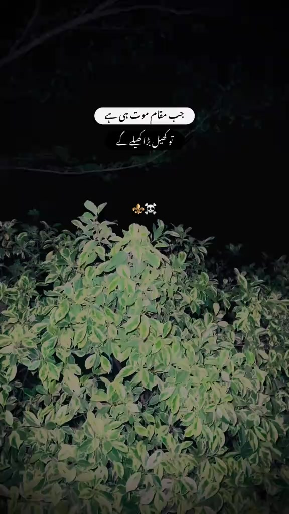 @*•.¸♡𝑀𝑜𝑜𝑛♡¸.•*