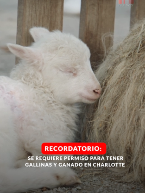 @ProgresoHispanoNews