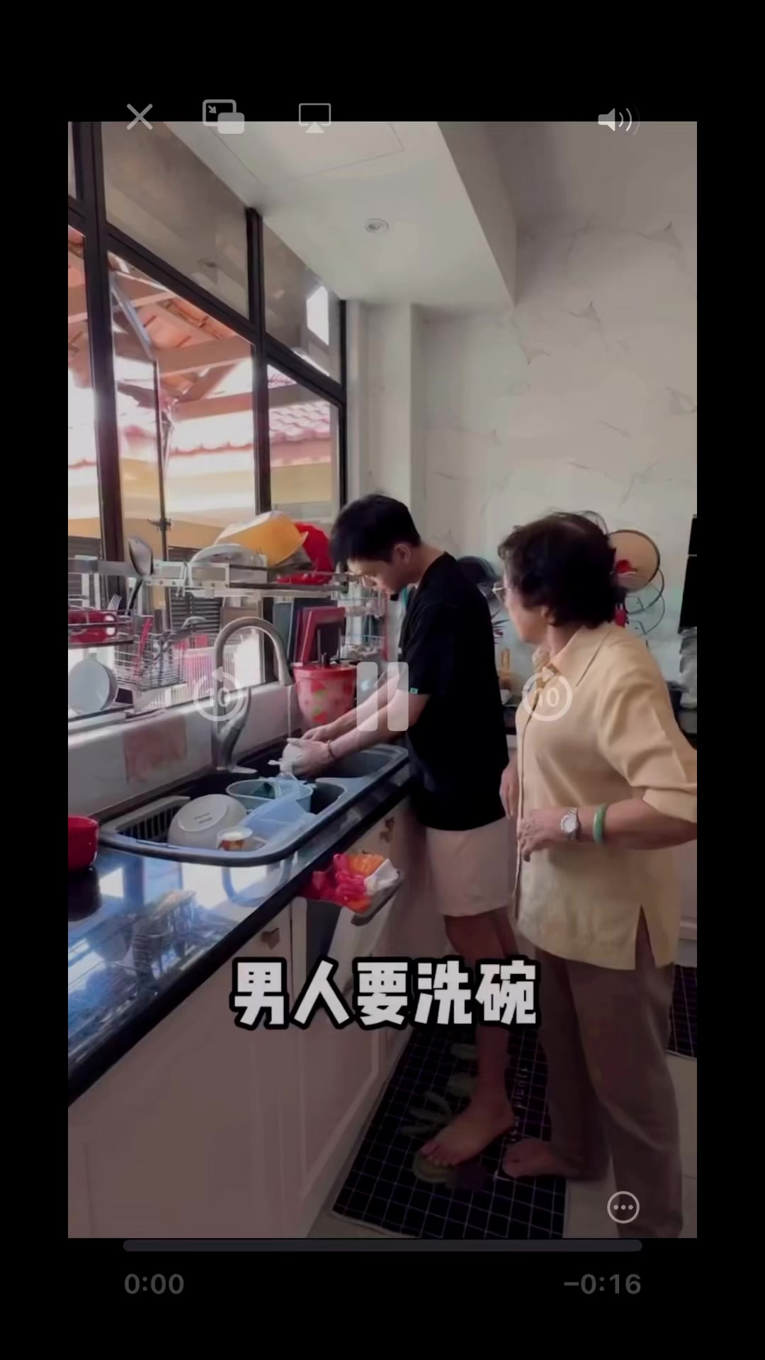 @陳皮