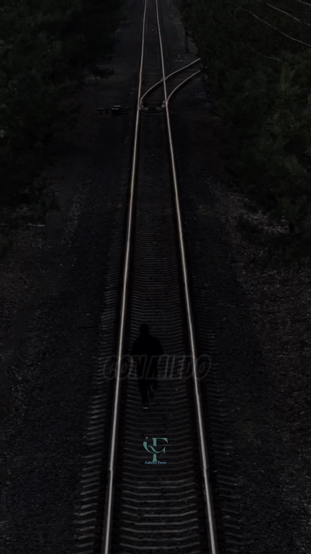 @𝕱𝖊𝖉𝖊𝖗𝖎𝖈𝖔 𝕻𝖊𝖗𝖊𝖆 ✮