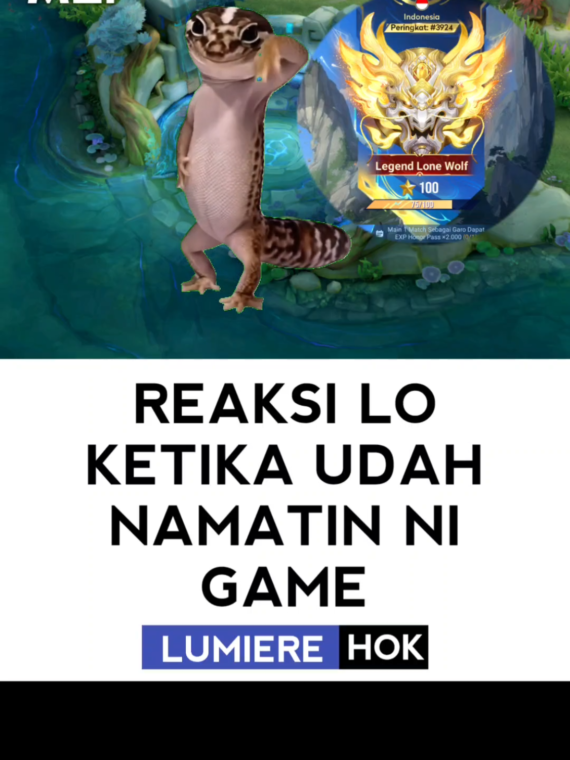 @RCK.Lumiere