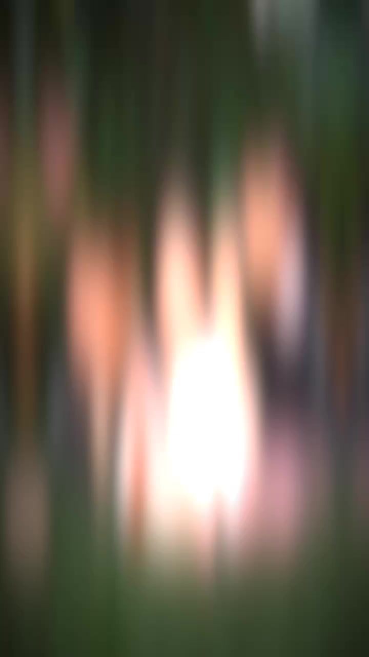 @𝑴𝒐𝒄𝒉𝒊🧸