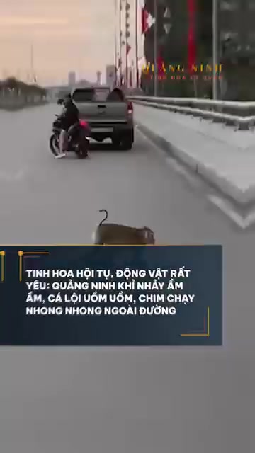 @Phạm Văn Thảo