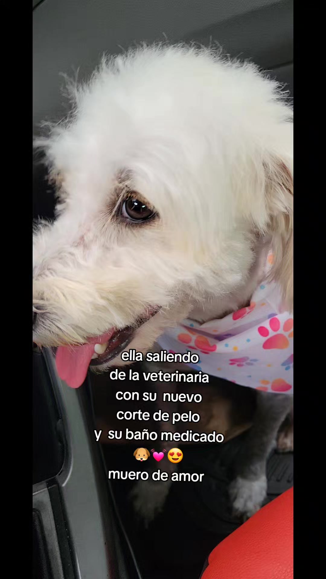 @marilynhuezo567