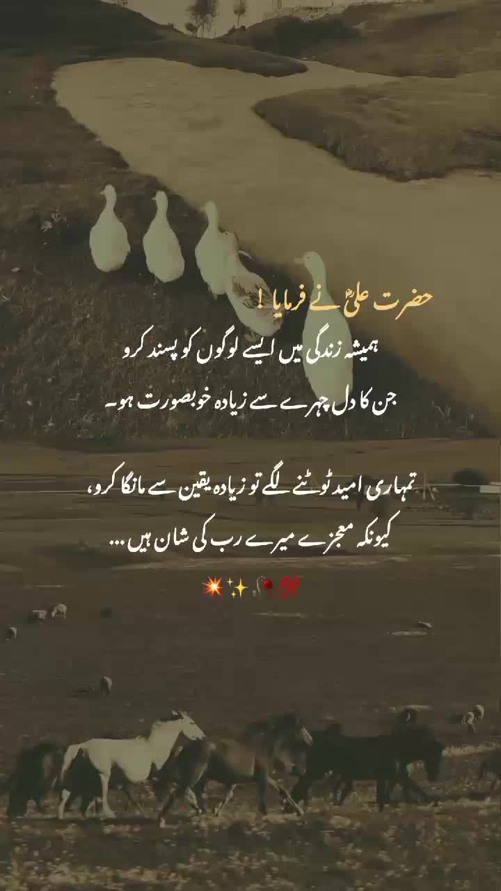 @angel_pari420