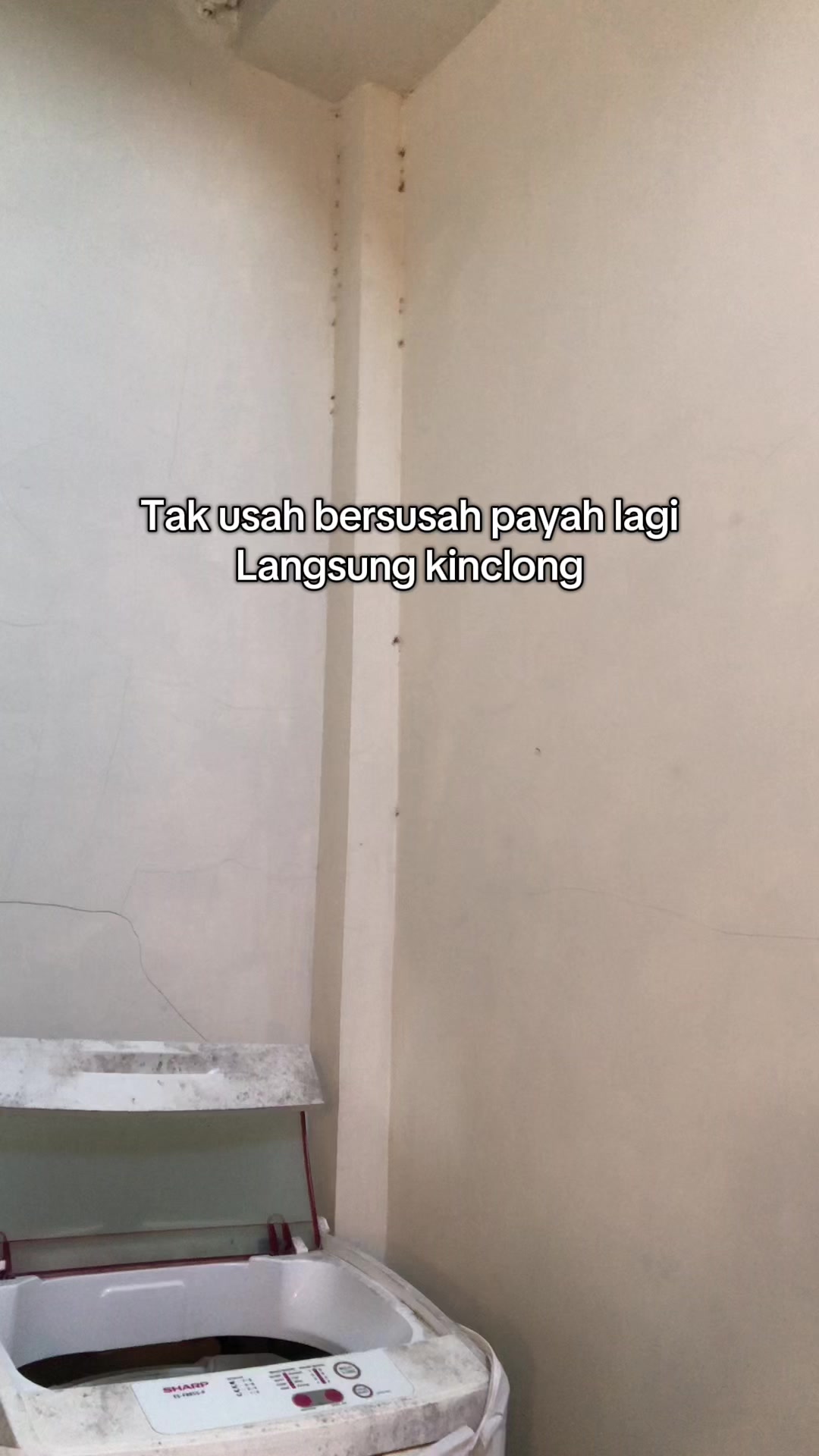@Nuy