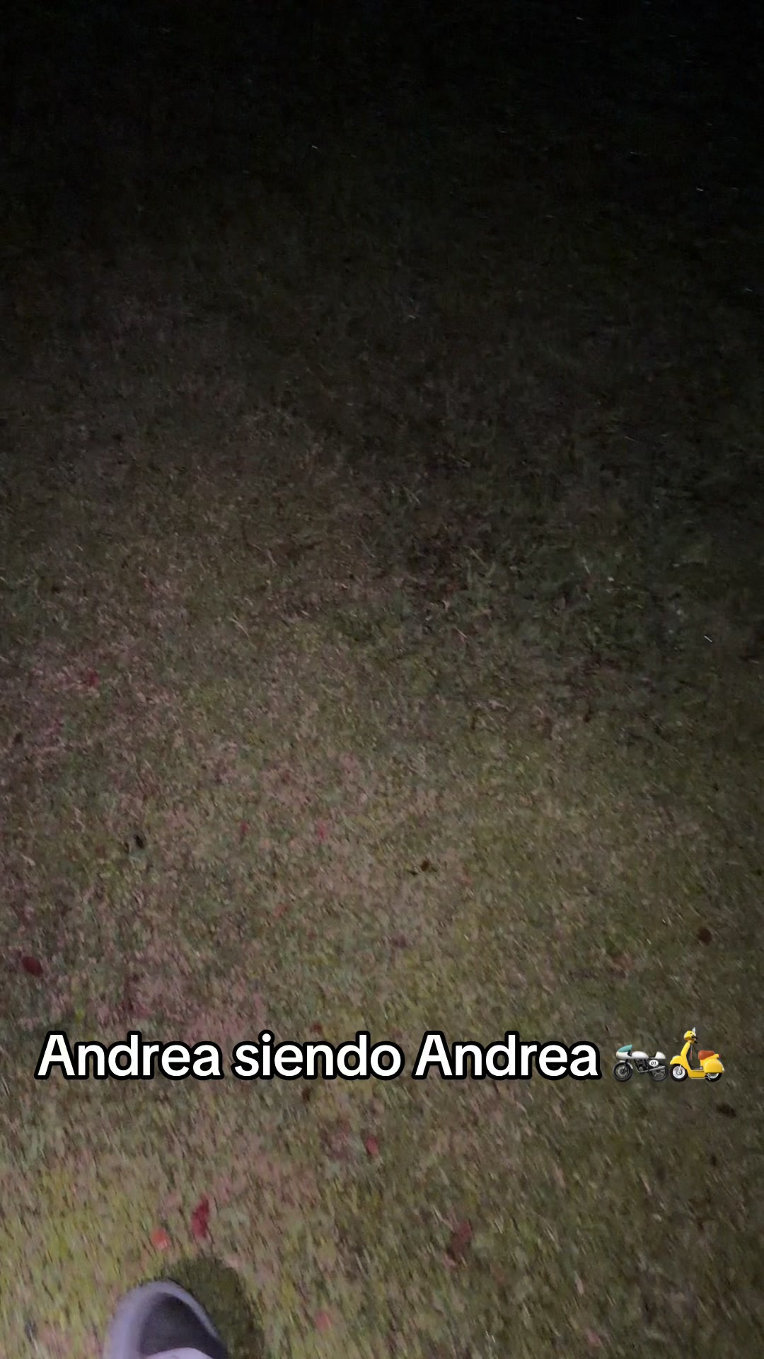 @André L 💖
