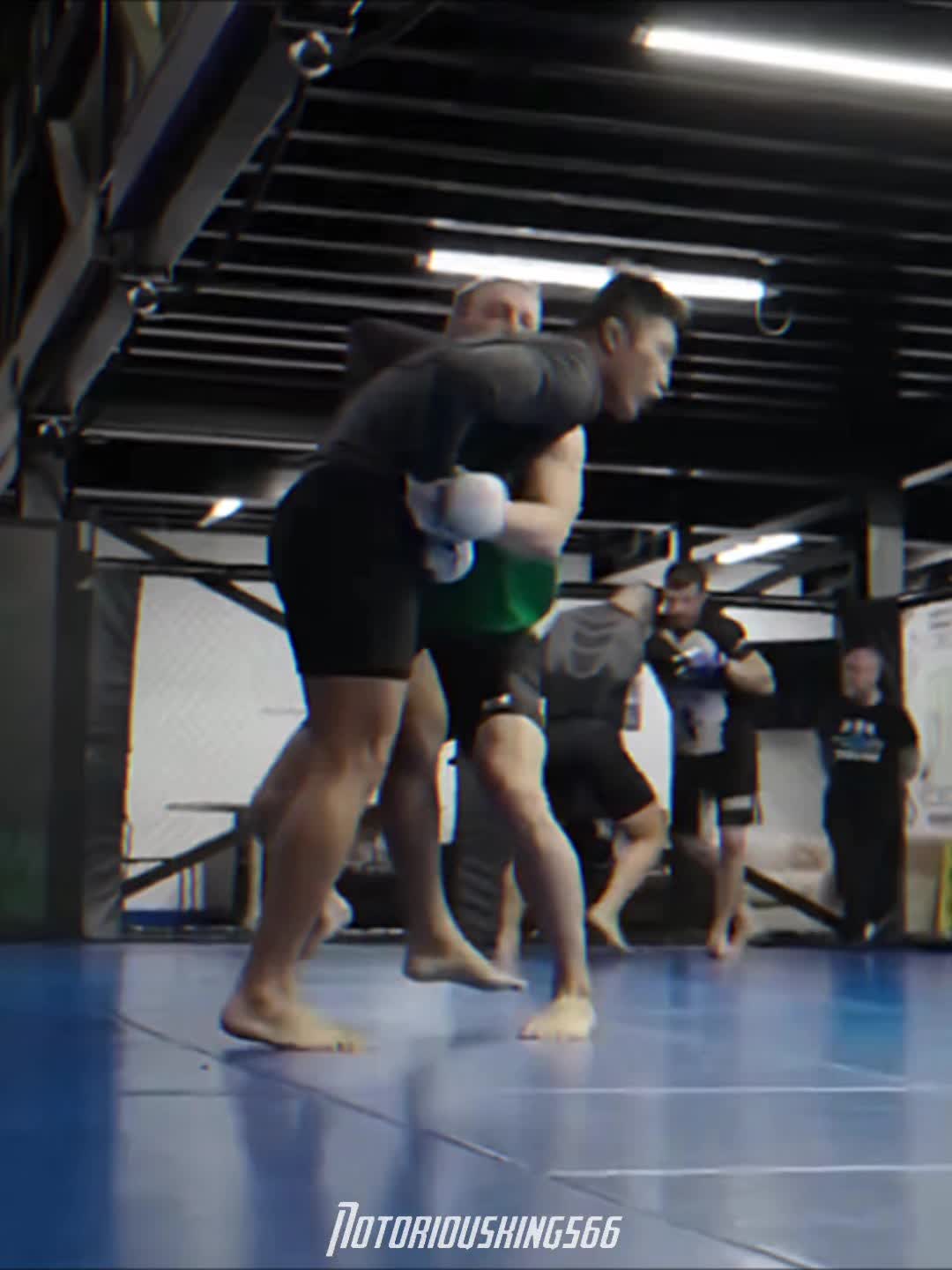 @Conor Mcgregor