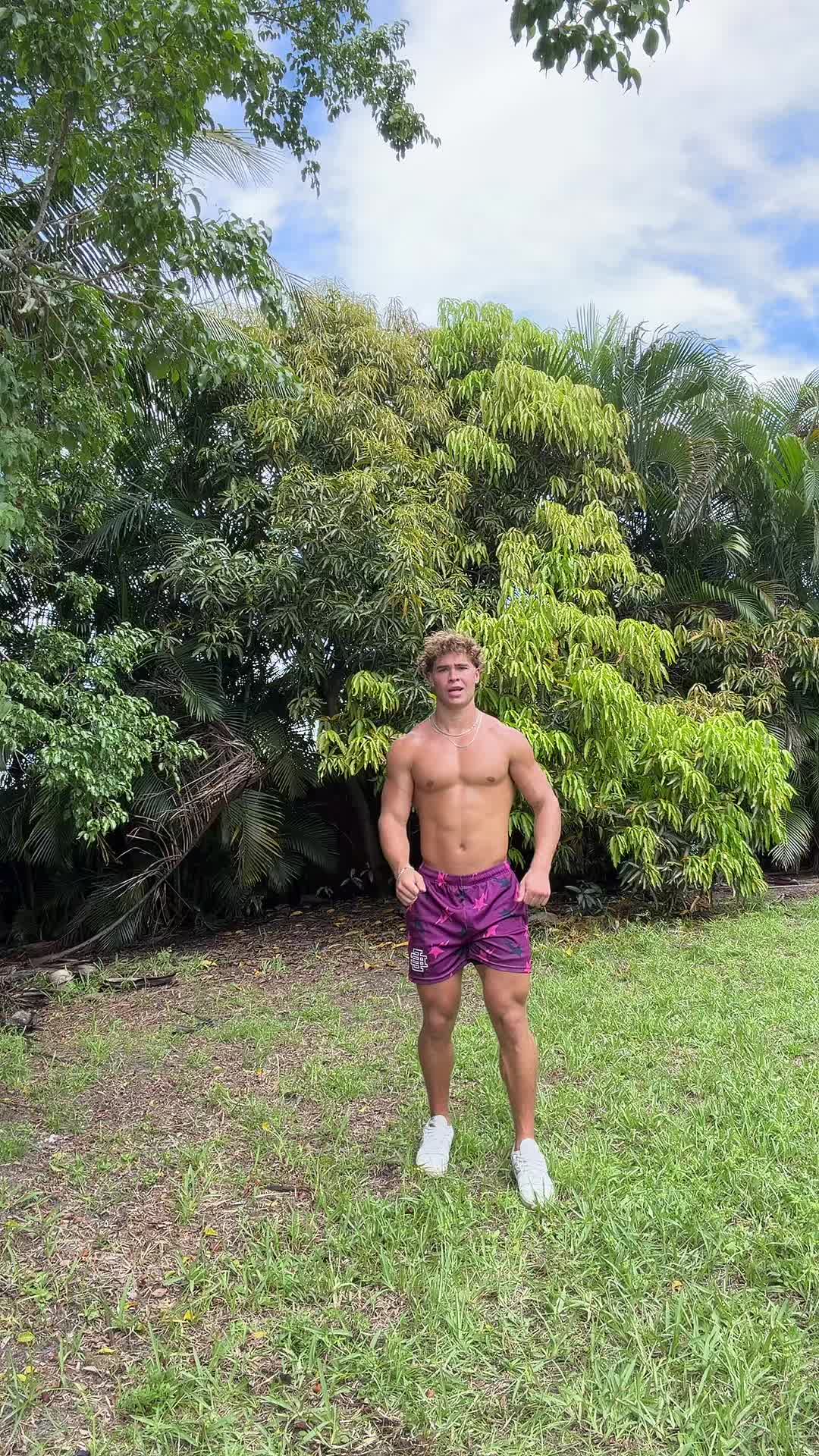 @Trex🦖