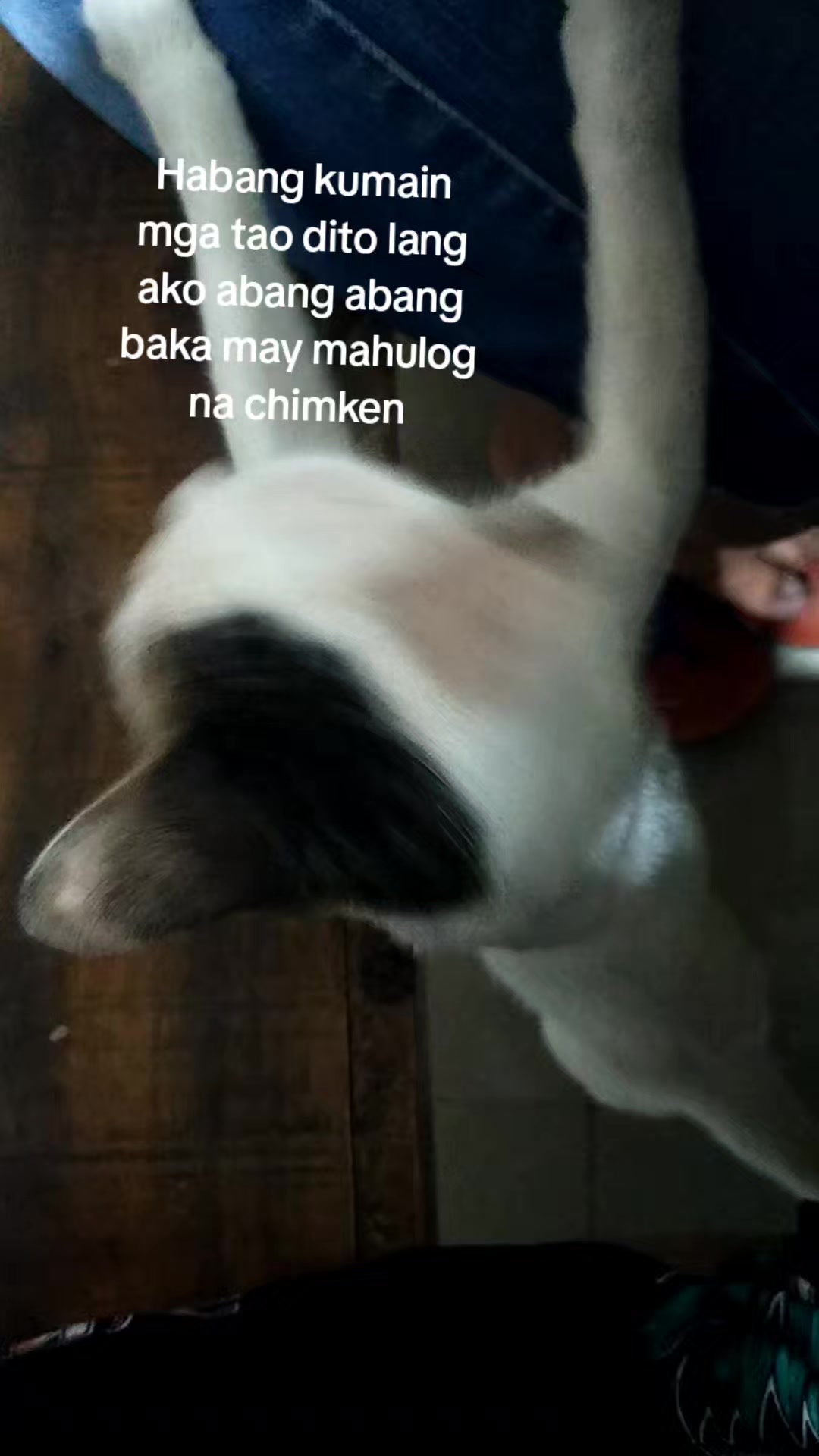 @marichubulayo
