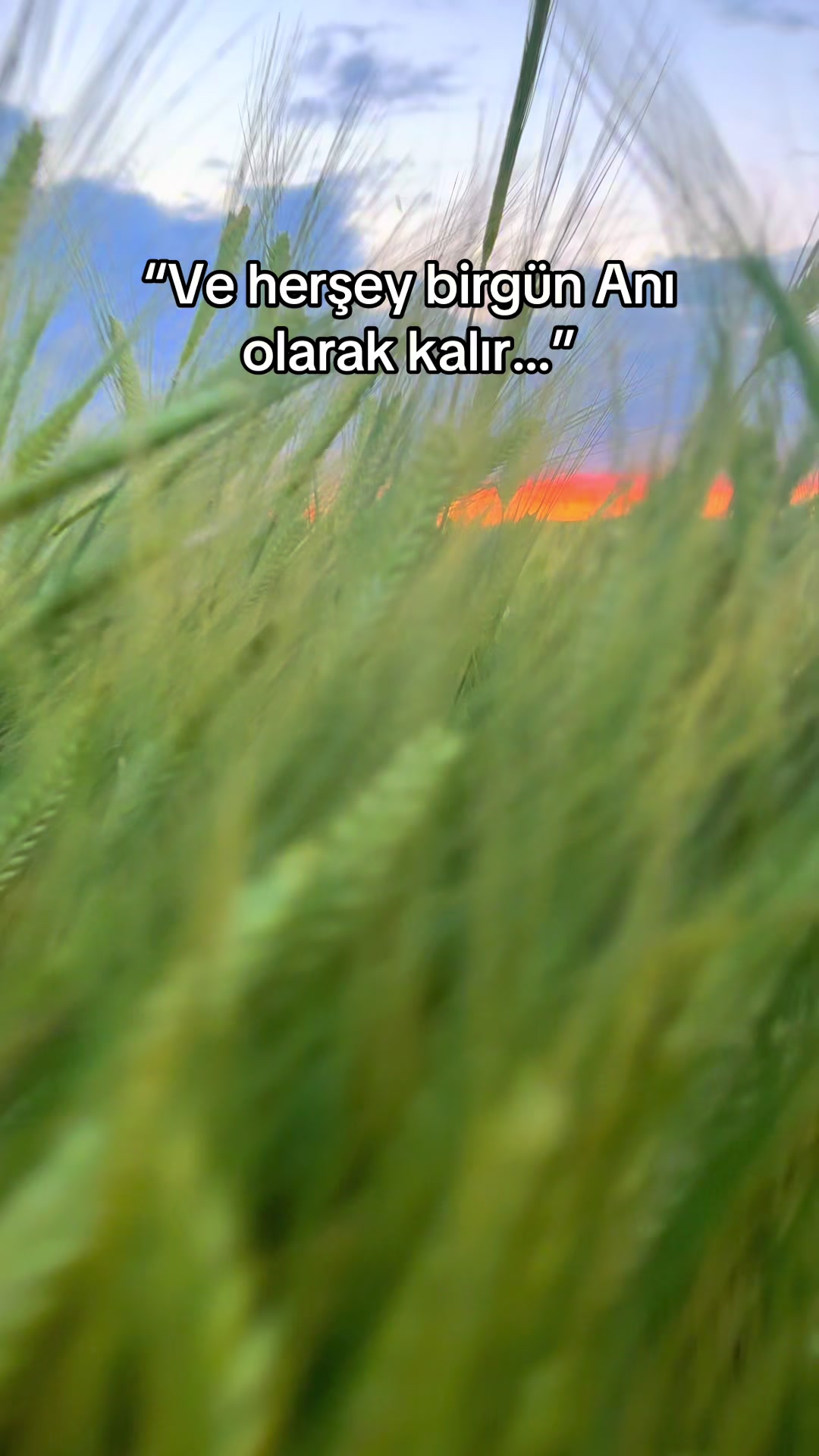 @İSMAİL CAN