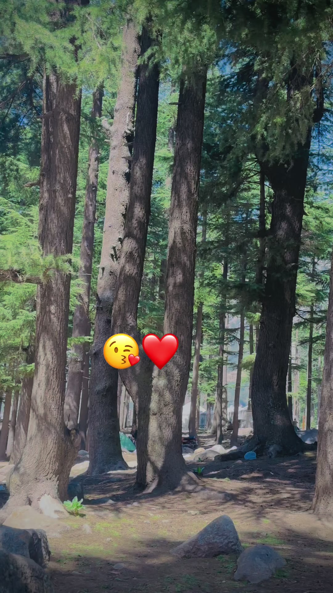 @♦️Bhãÿâ 🫵
