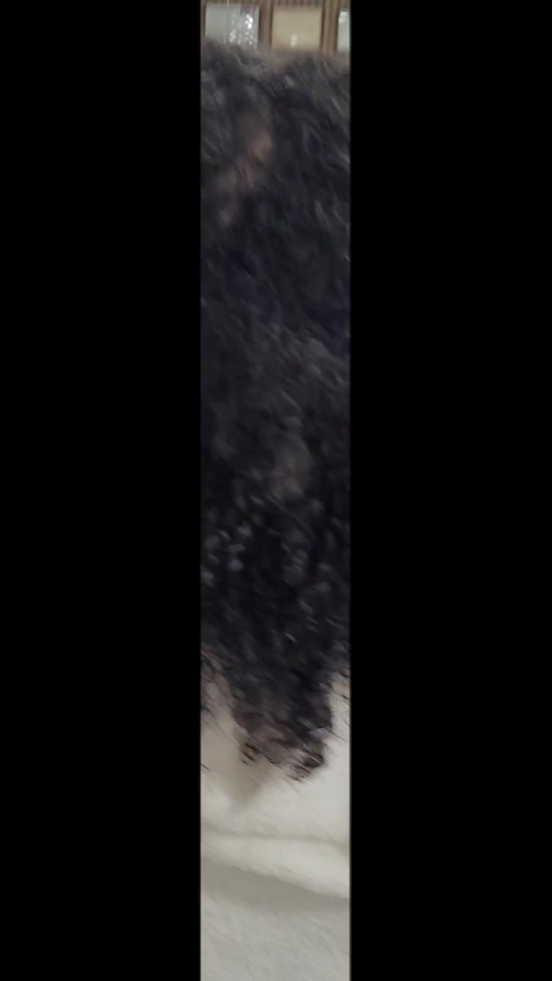 @Vivi Hair