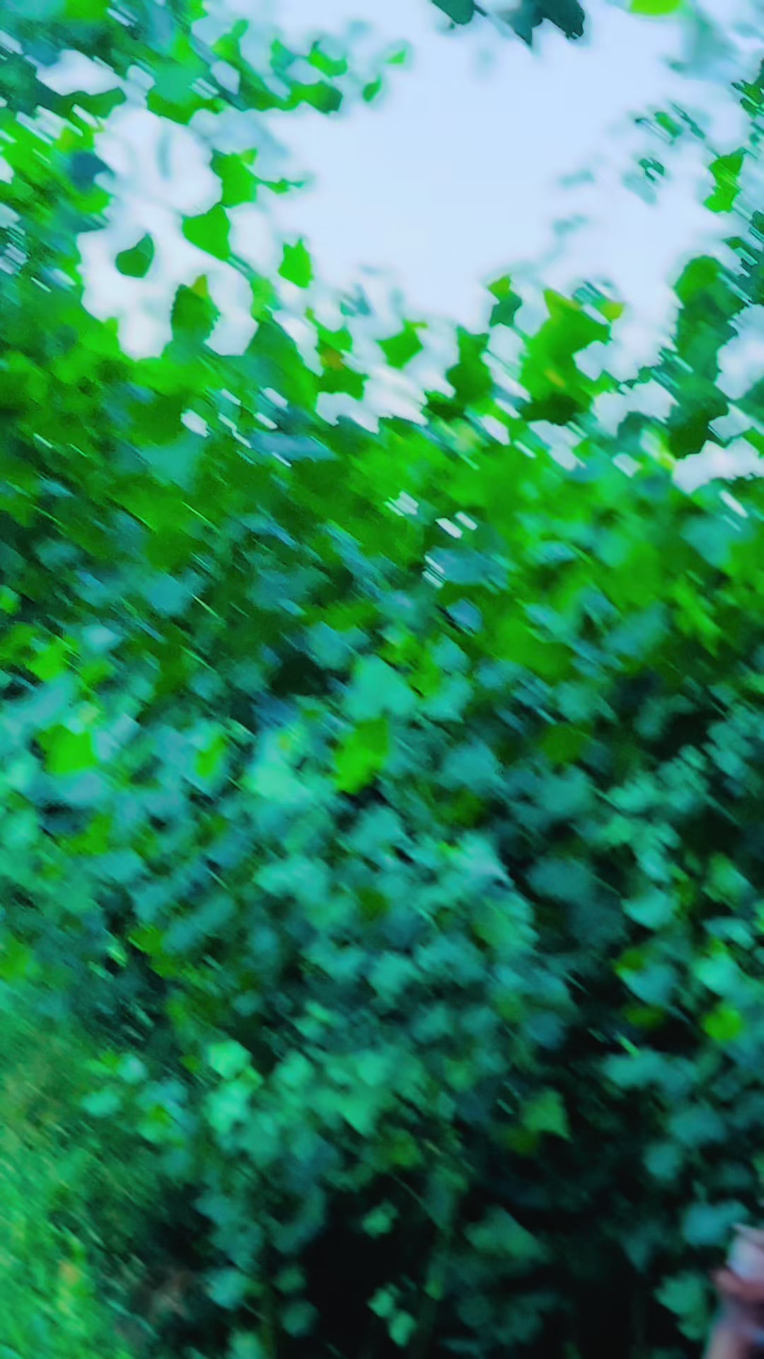 @A R S O O_🫀