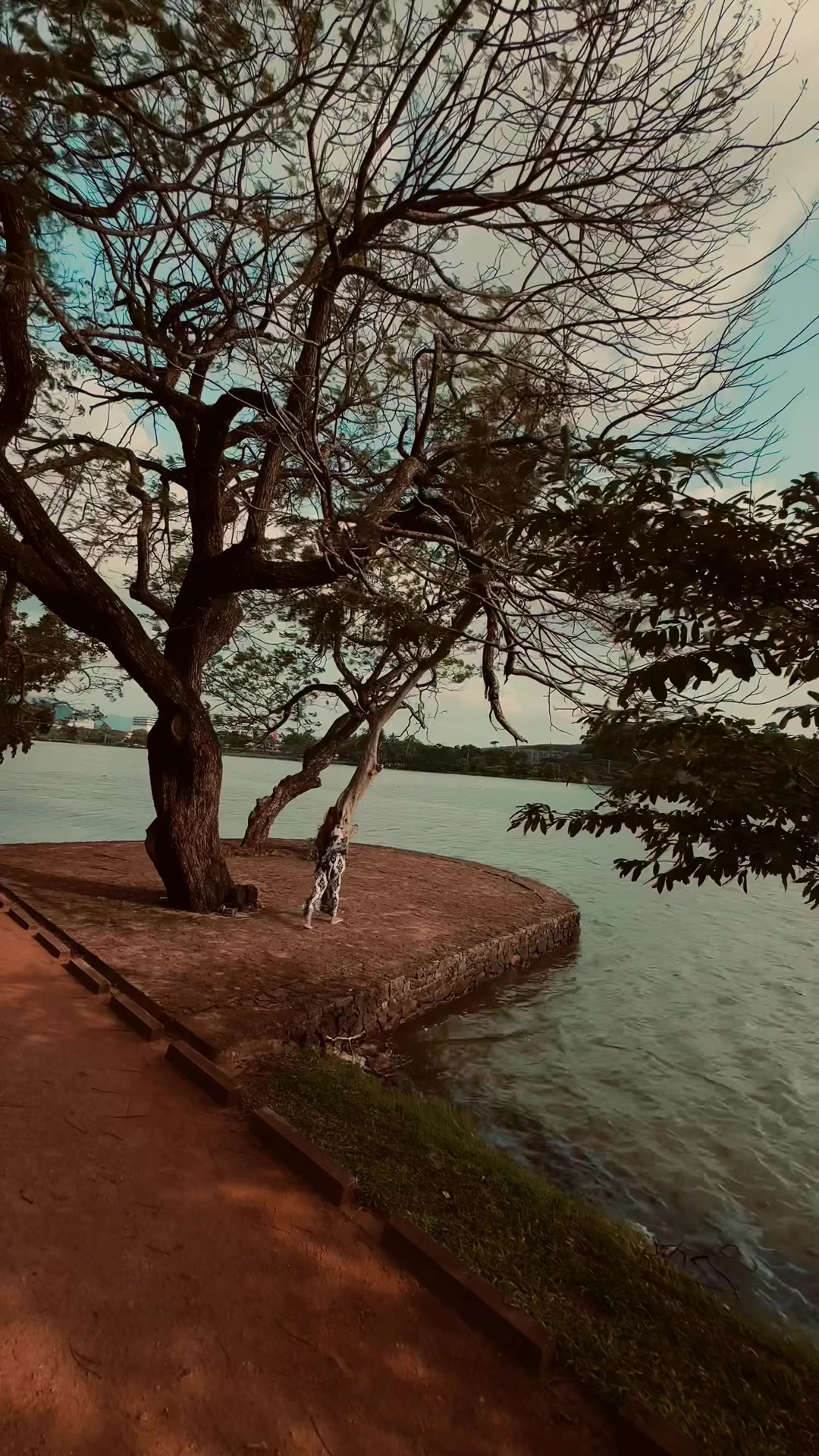 @ROOSARA / රූසරා  🤍