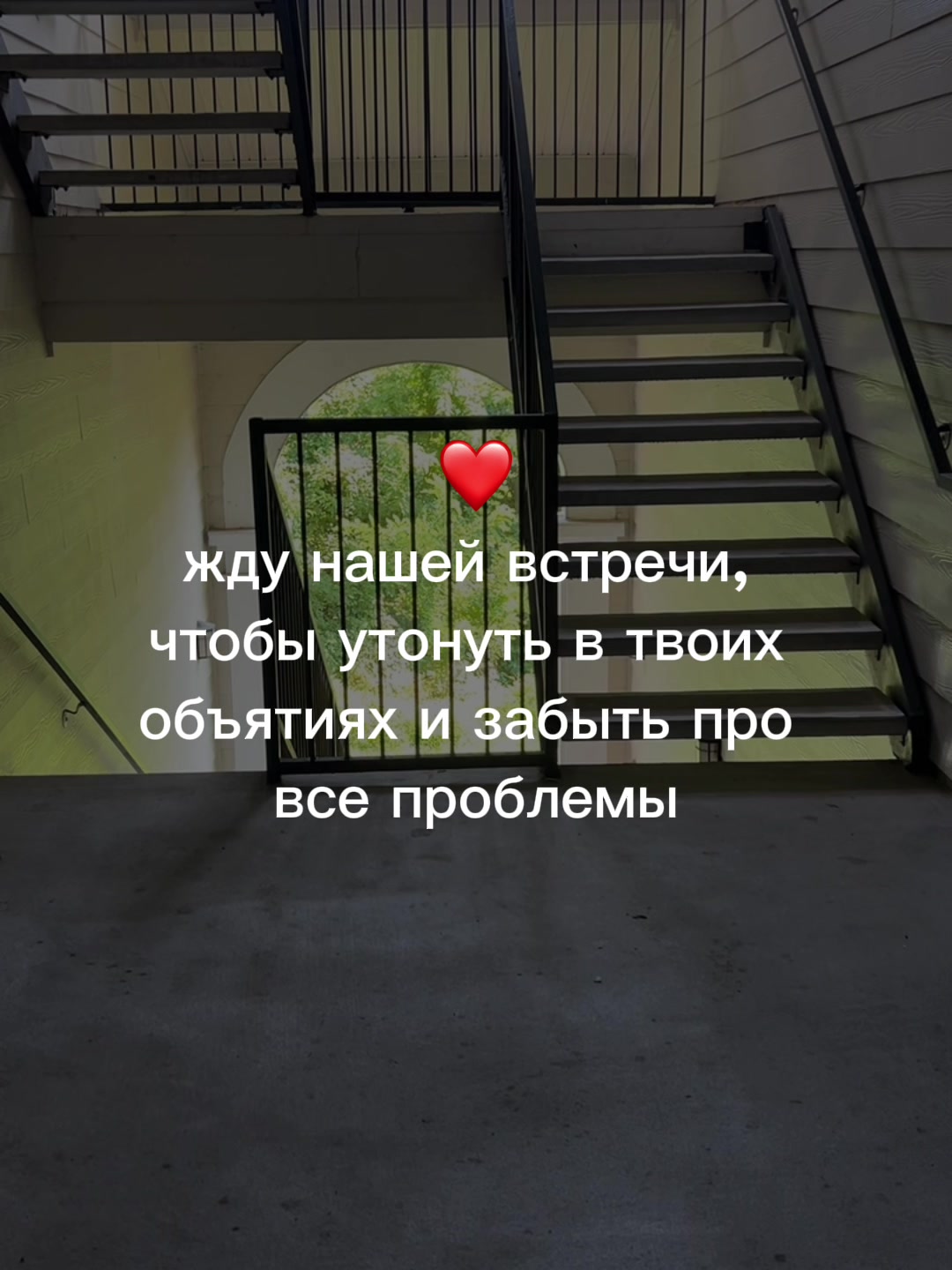 @muzdogz