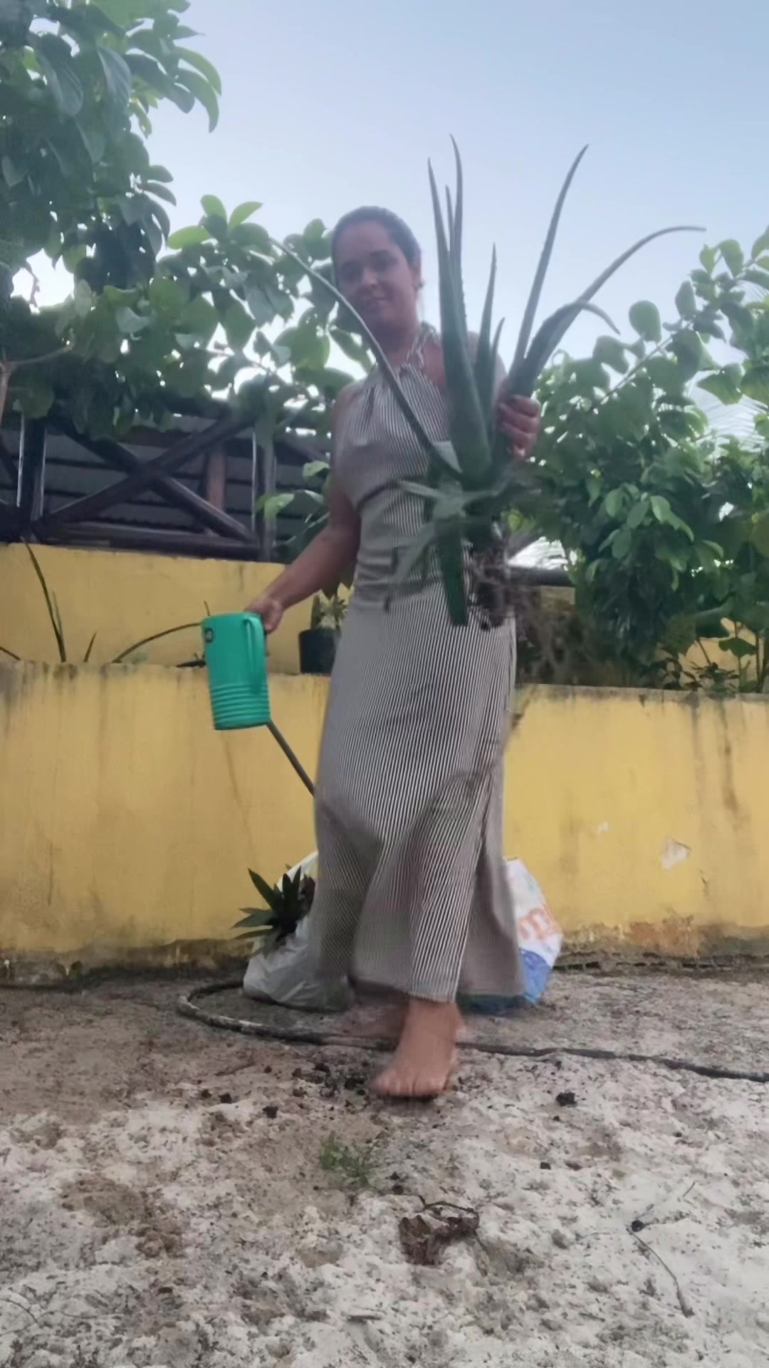 @Rafaela Brandão