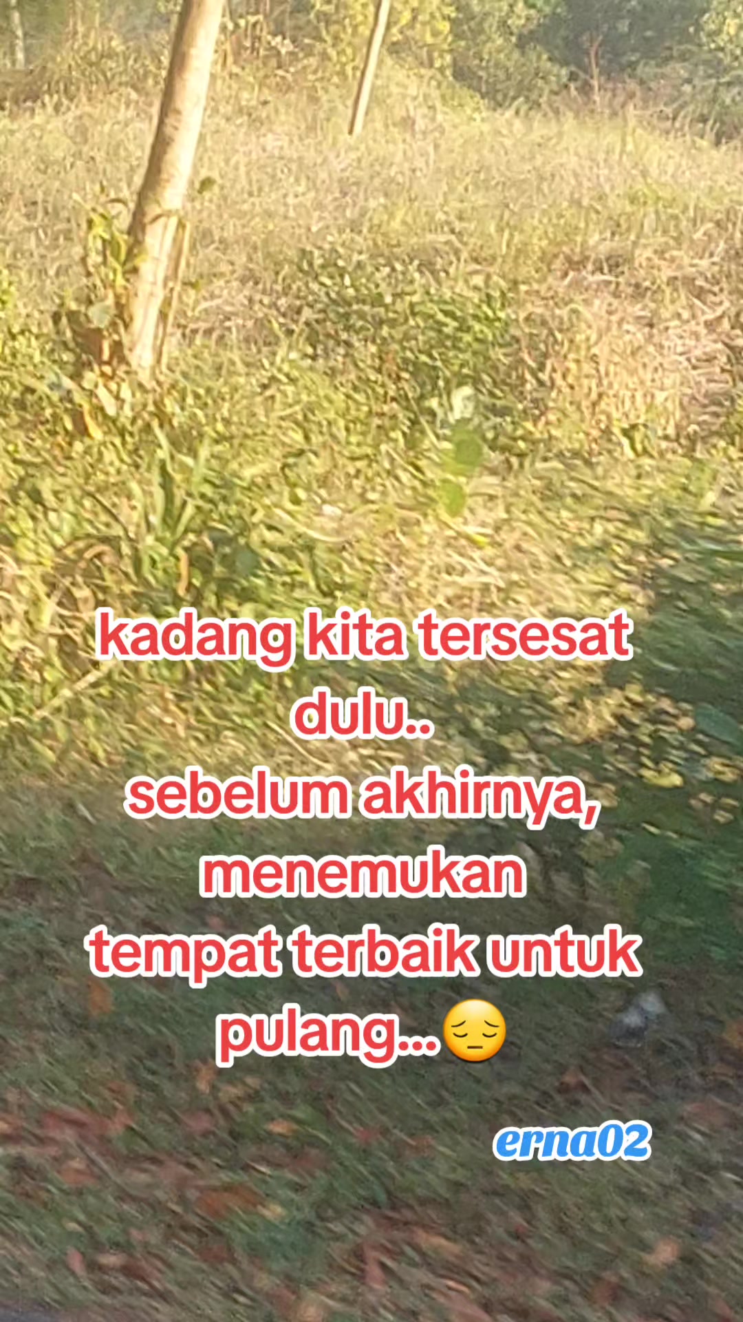 @erna02