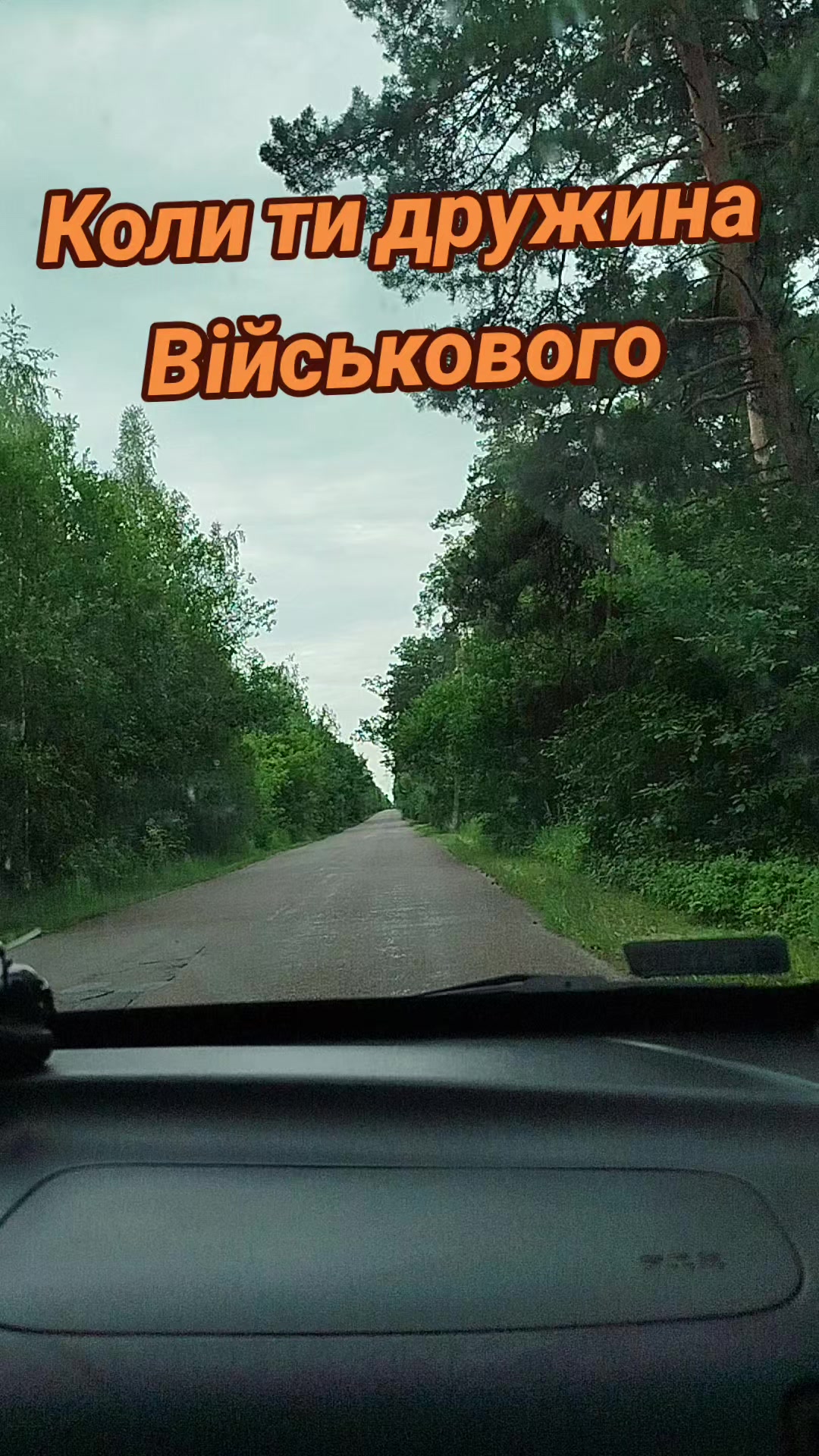 @🇺🇦Kitty🇺🇦