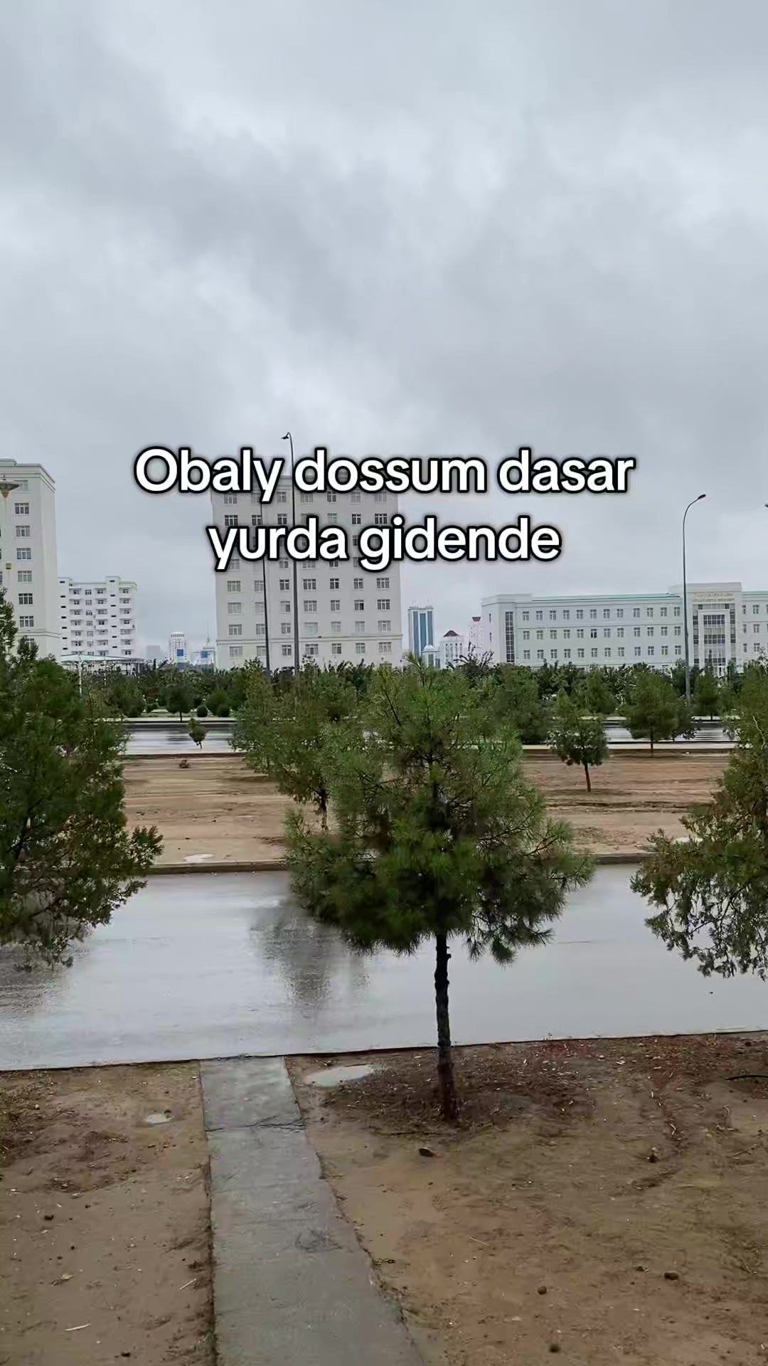 @HanS7N