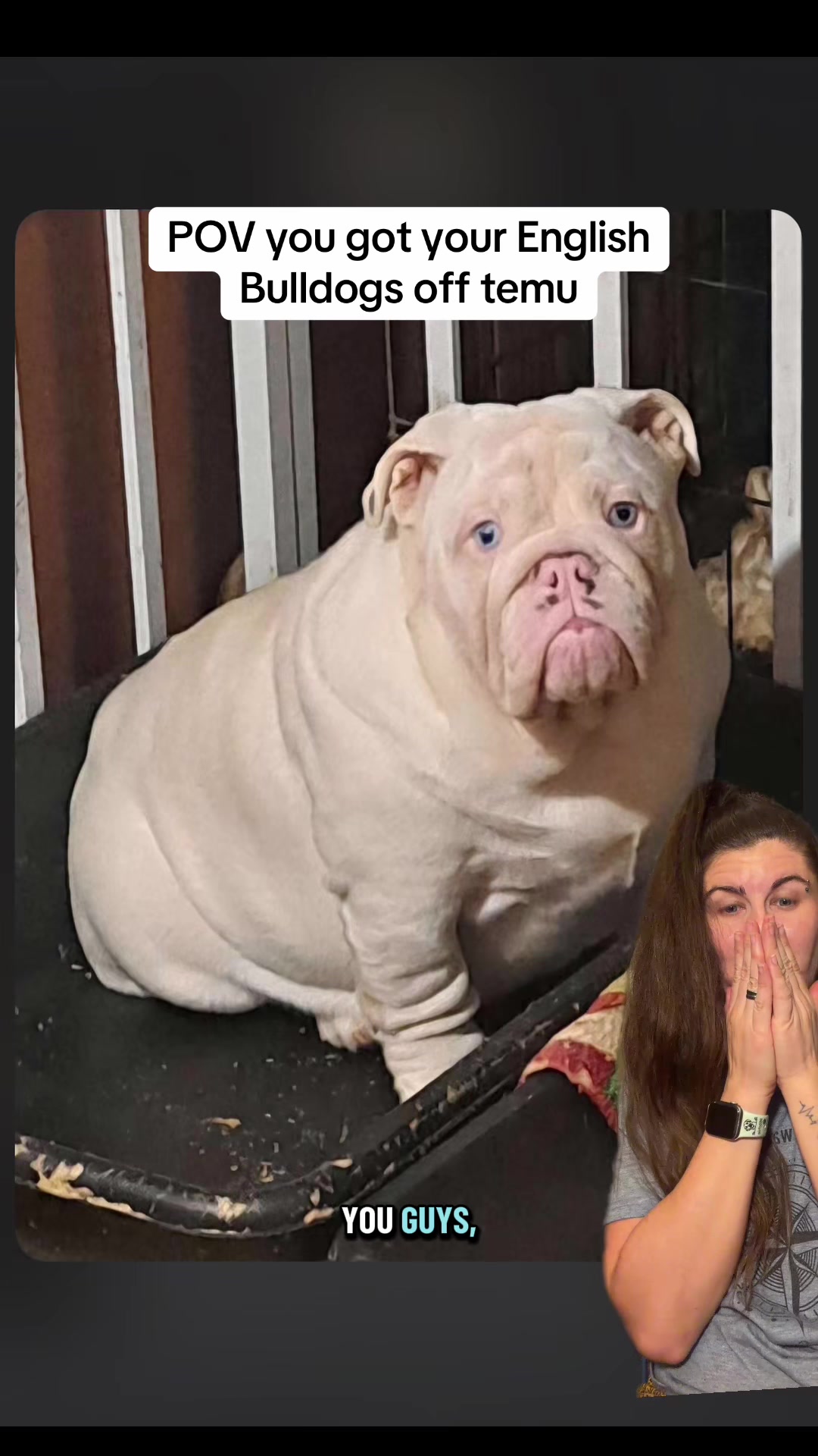 @Jess Shark🐾DOG PACK🐾