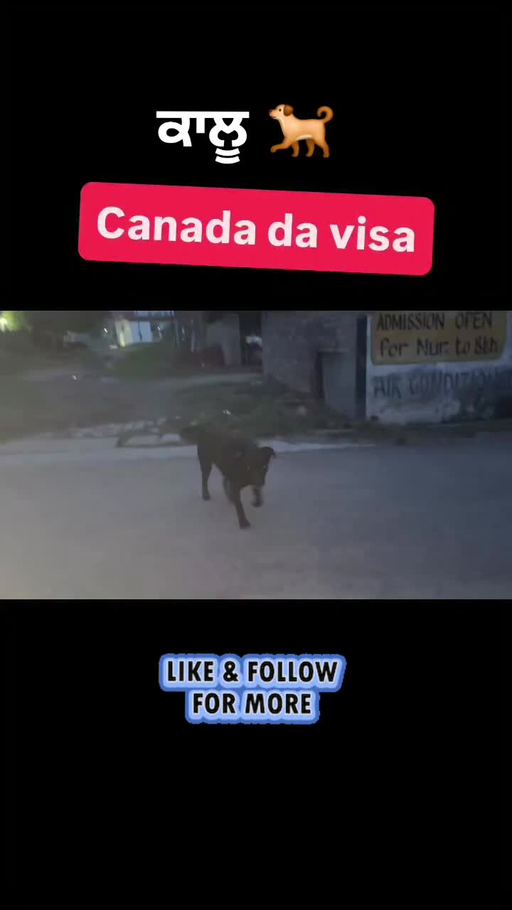 @🇨🇦Kahlon🇨🇦