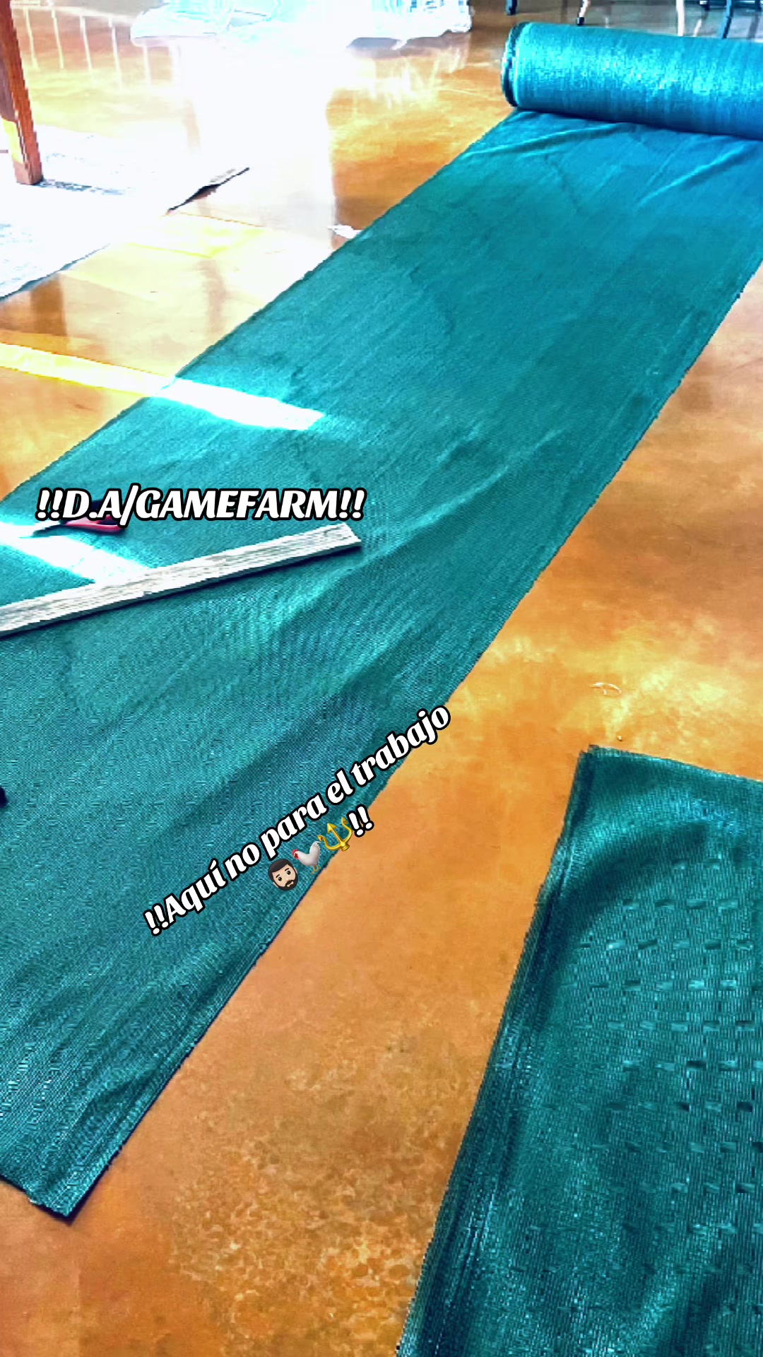 @DAgamefarm