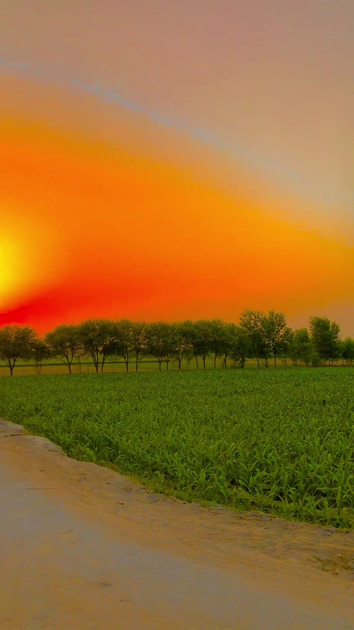 @پنڈاں آلے جٹ