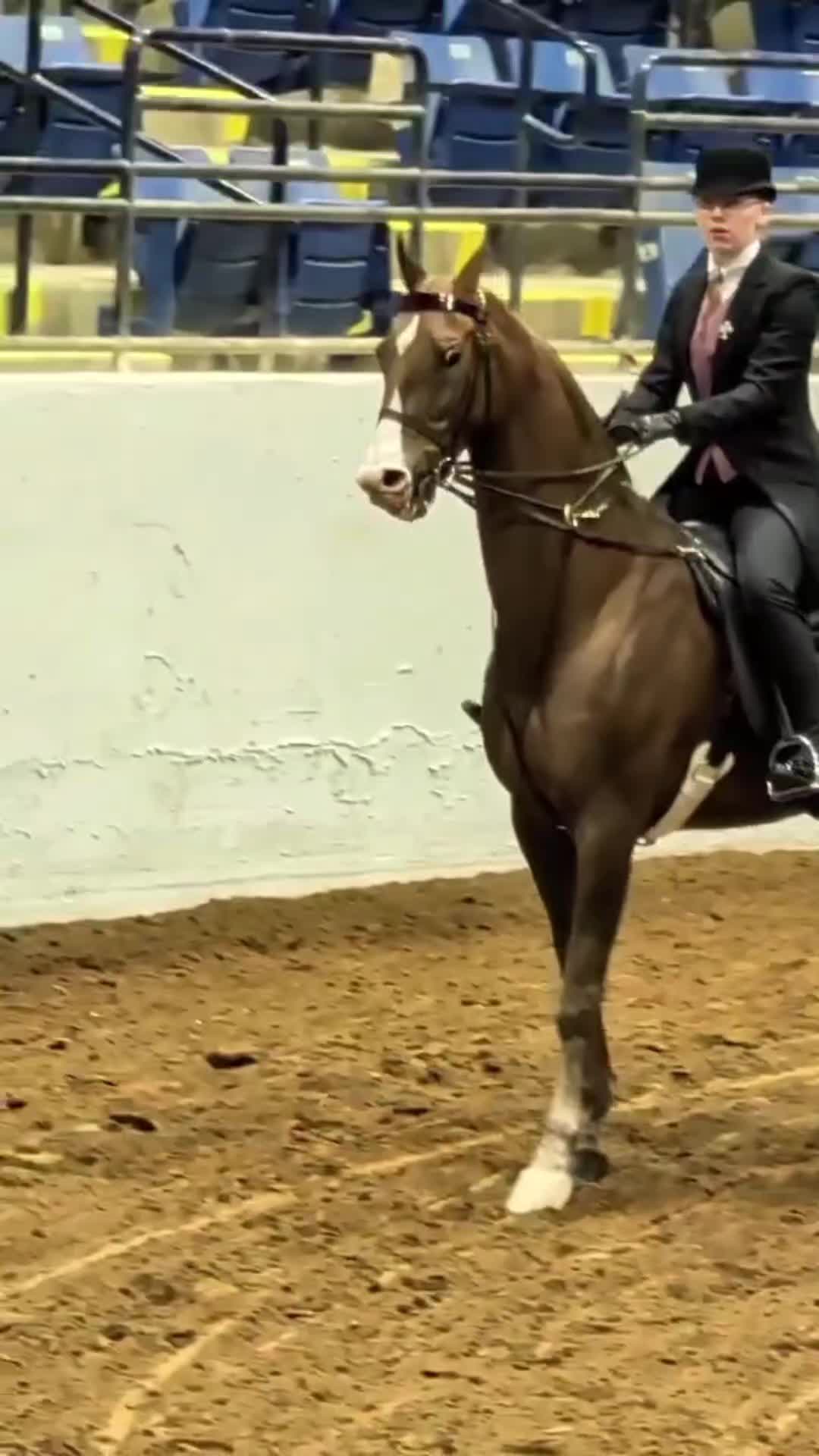 @saddleseat_4life