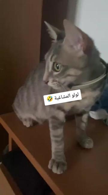 @مريوماااات 🌳🌿🌱💚