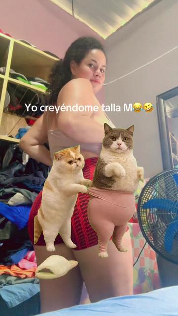 @damisela1990