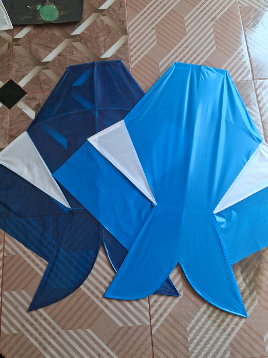 @daffin kite store