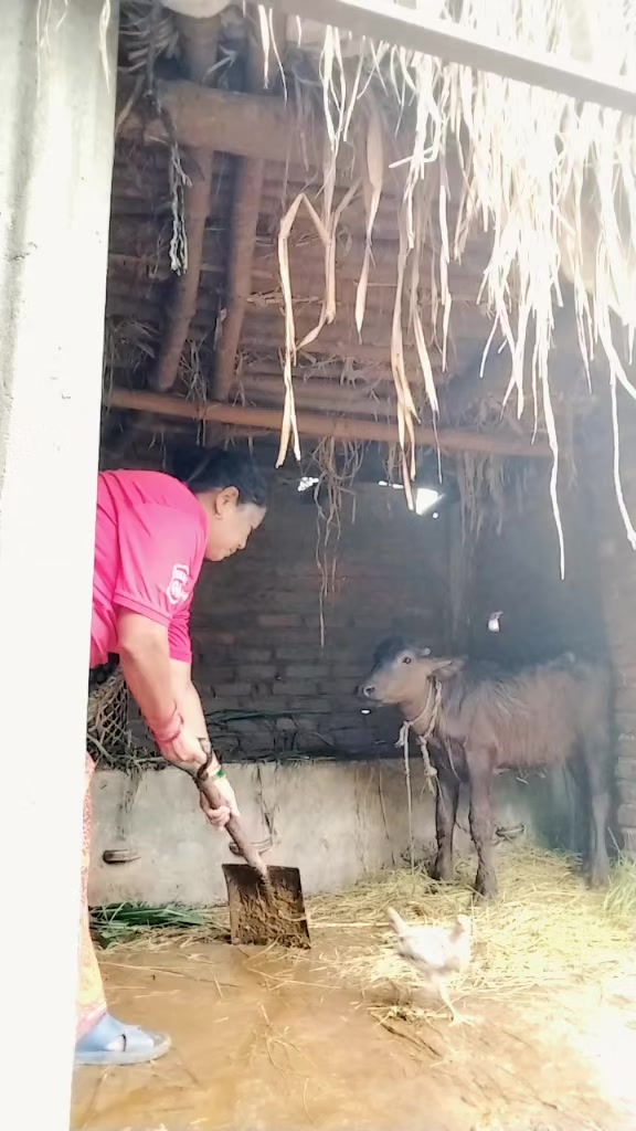@sujal sunar