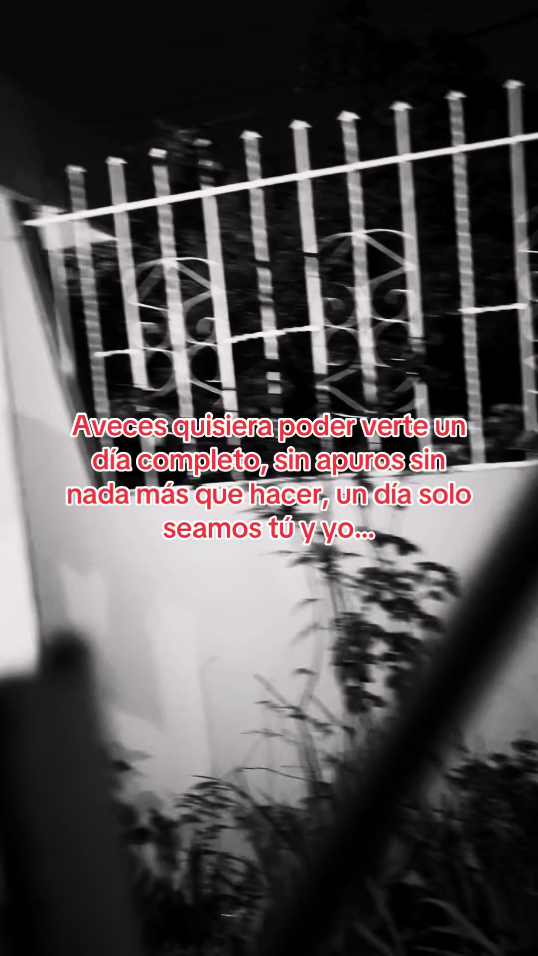 @Usuario No Encontrado.