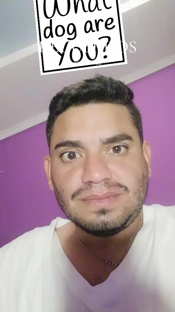 @paniagua yamil