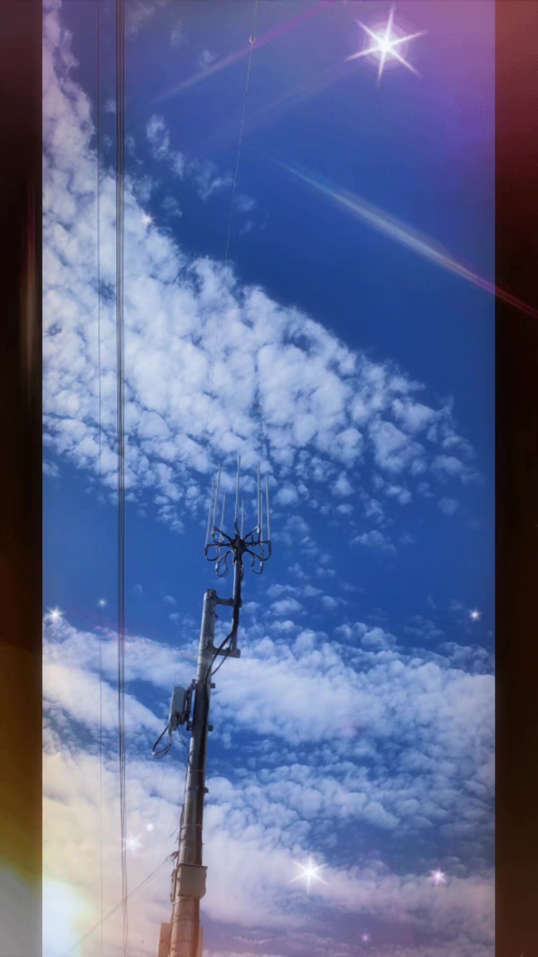 @井坂みどり