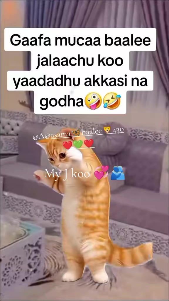 @ናቢያት ጂማ(N✅