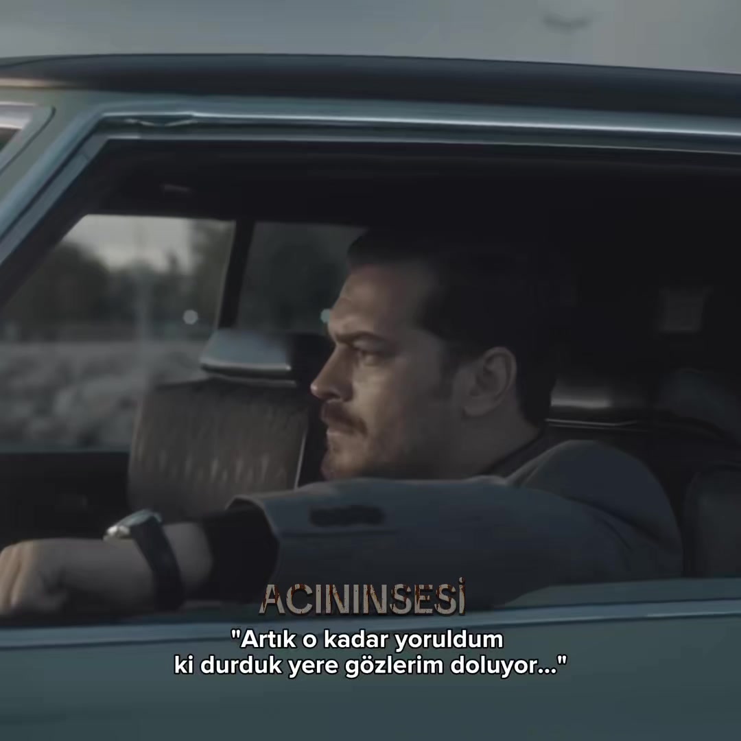 @reisinsesi