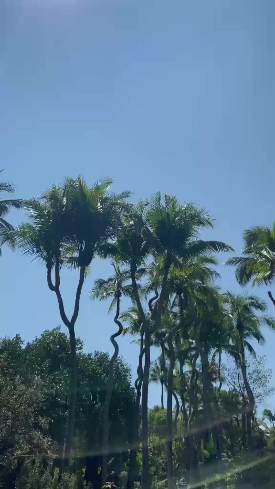 @Pamela Pam
