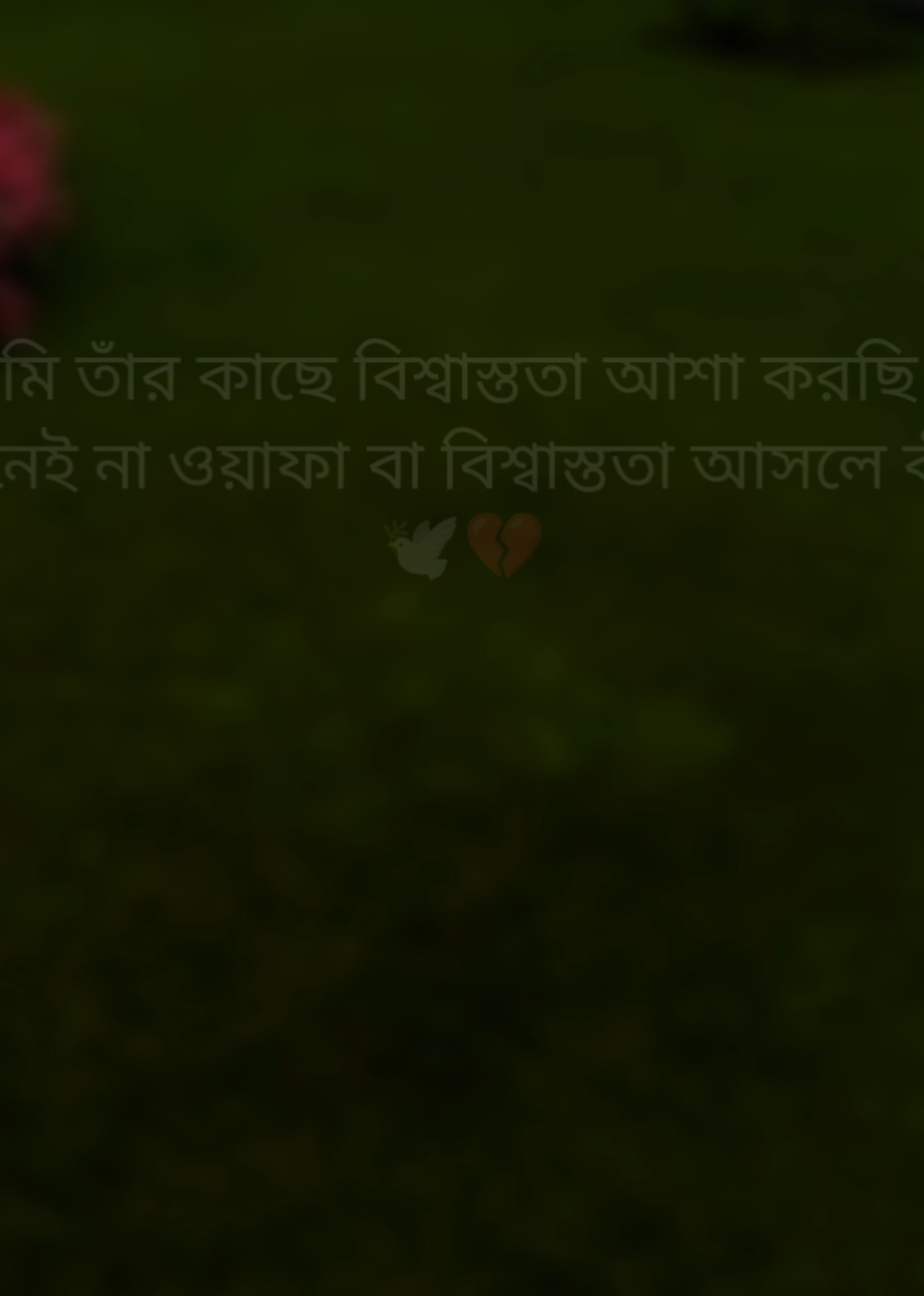 @🎀«-R̷S̷ ̷R̷a̷s̷h̷e̷d̷✍:-»🎀