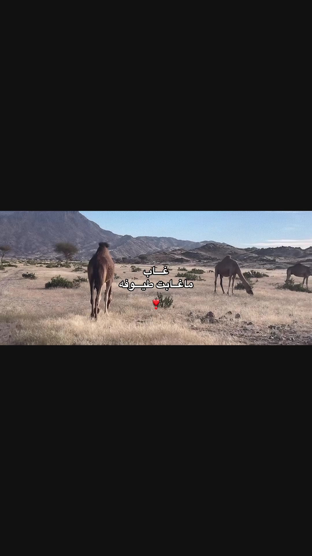 @سـويّـــر