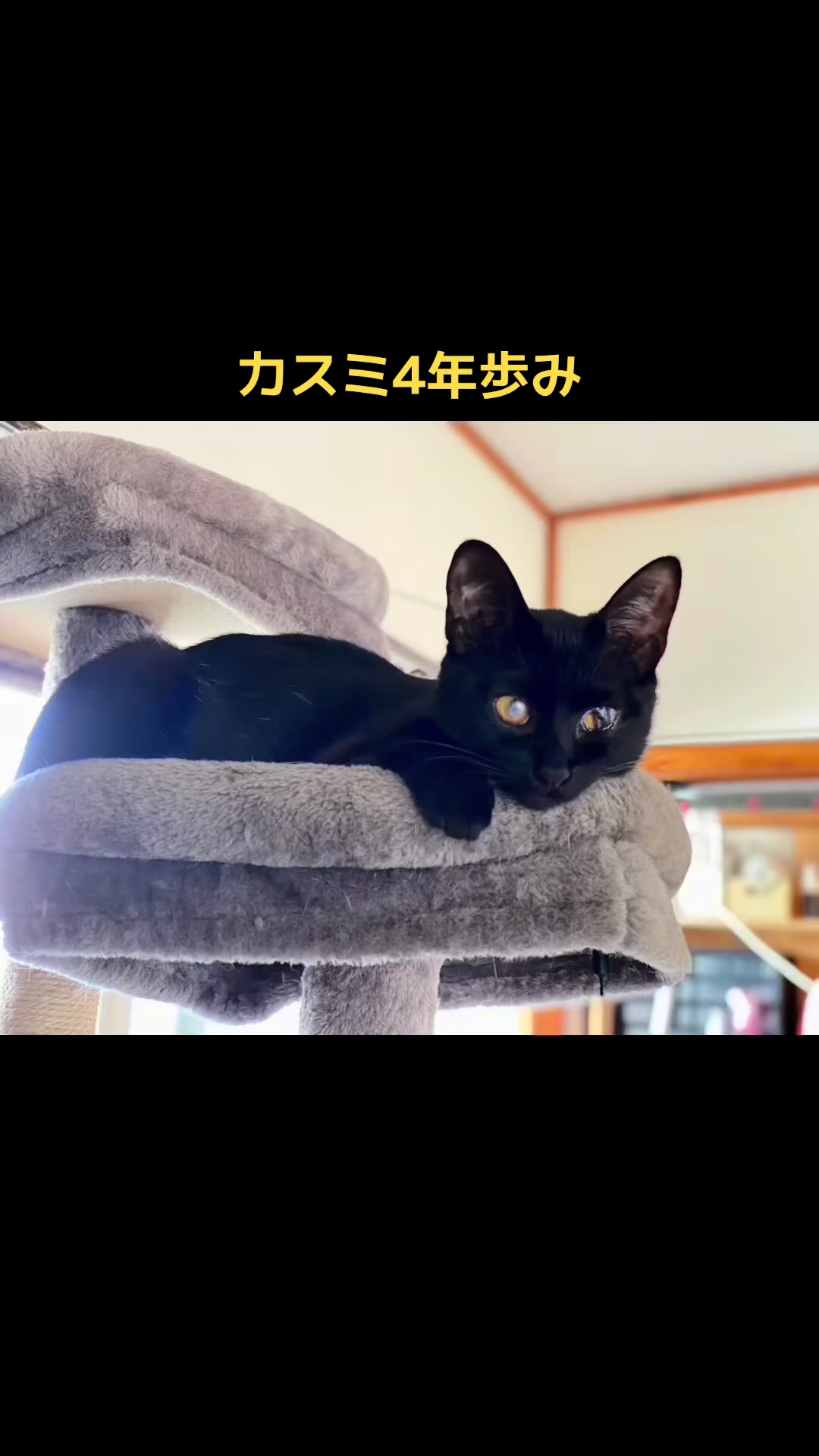 @てるぼー